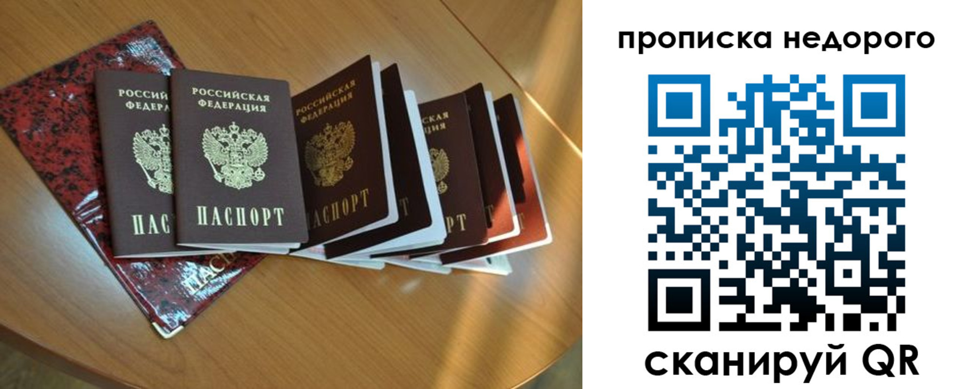 прописка штамп в Новом Осколе